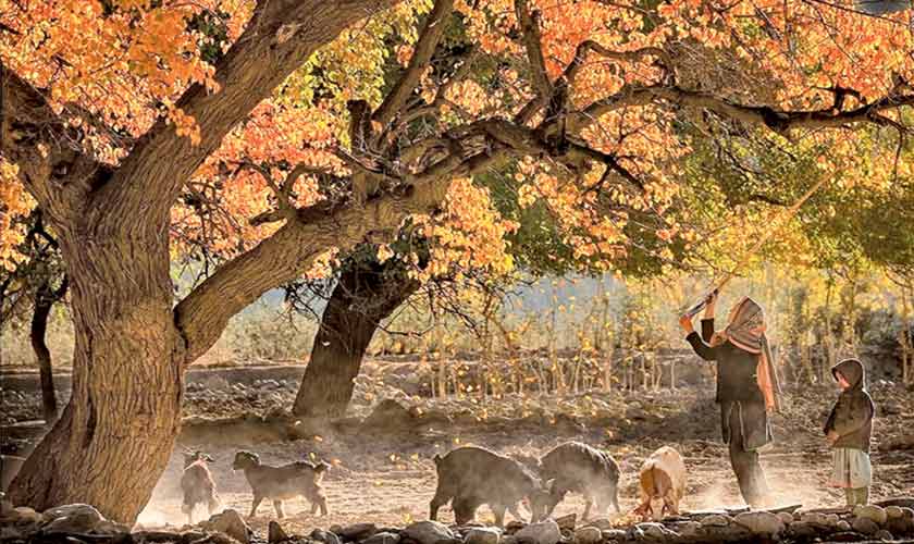 TOURISM’S HIDDEN HEROES