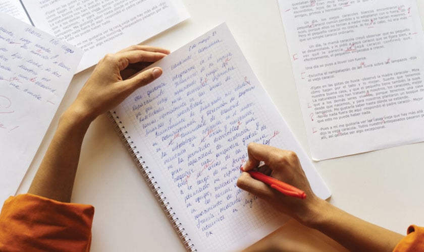 The reading and writing crisis in the Age of AI