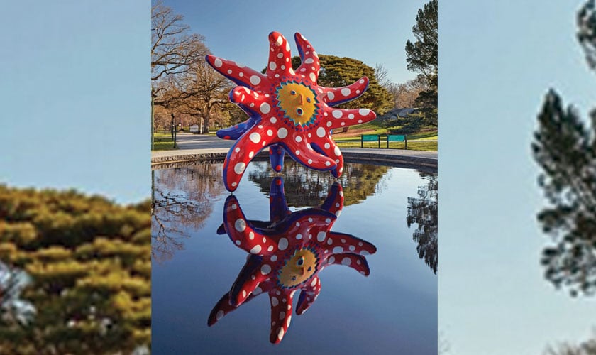 Want to Fly to the Universe