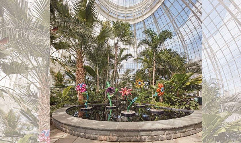 My Soul Blooms Forever