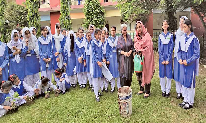 The system works  - just not for all women