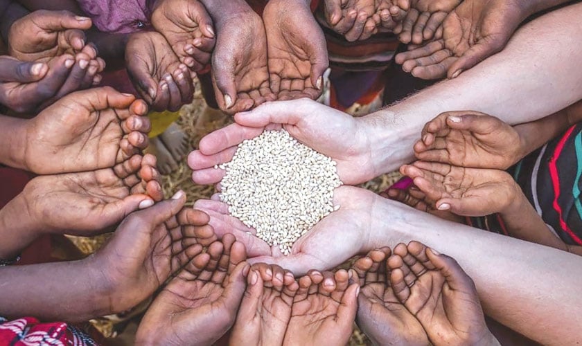 THE WEIGHT OF EIGHT BILLION