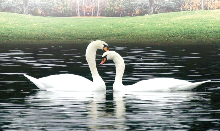The art of noticing