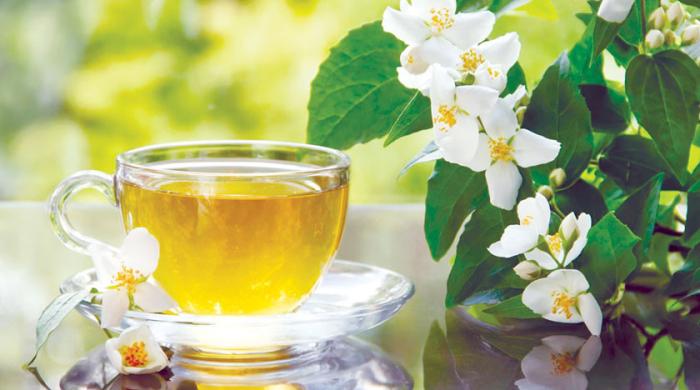 Tea, jasmine, the quiet magic of home and summer vacations memories