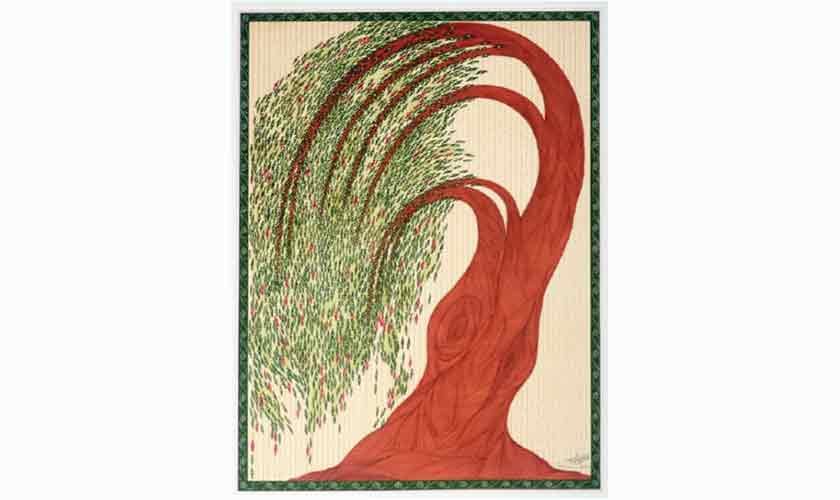 Circumscribed Adaptations III.