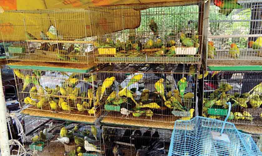 A demolition gone wrong