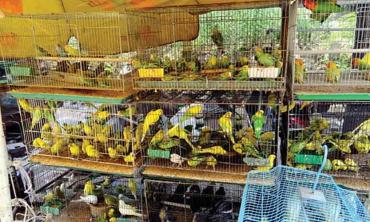 A demolition gone wrong