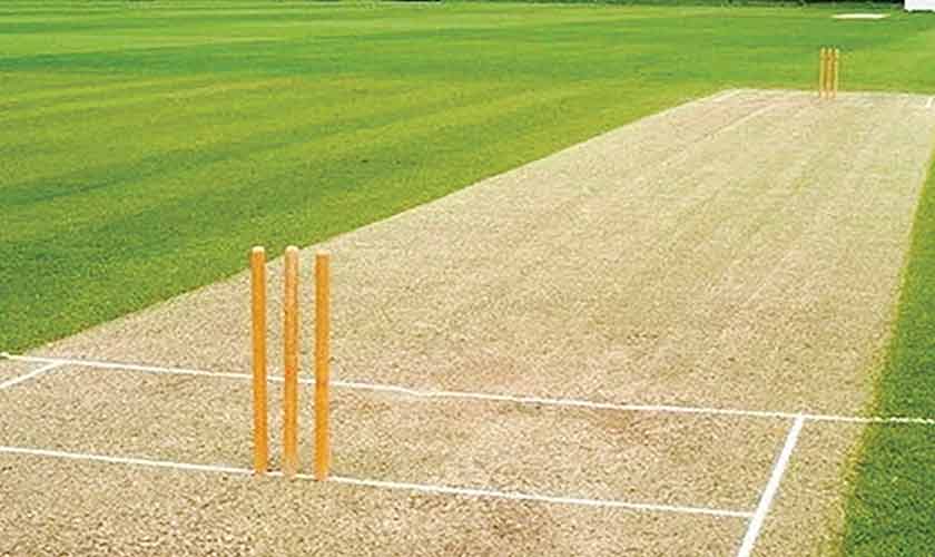 Climate change  and cricket