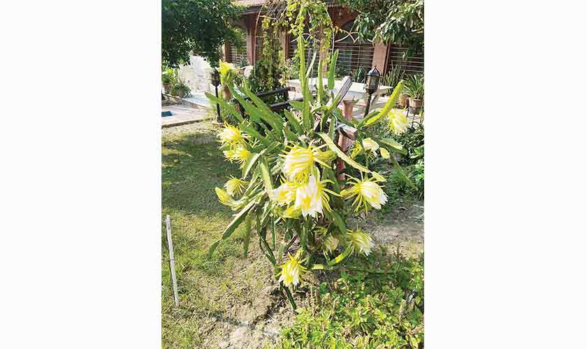 The “everyone knows everyone” motif is a common one