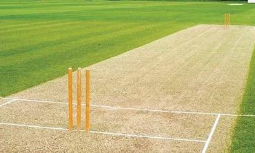 Climate change  and cricket