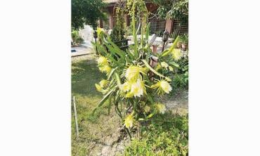 The “everyone knows everyone” motif is a common one