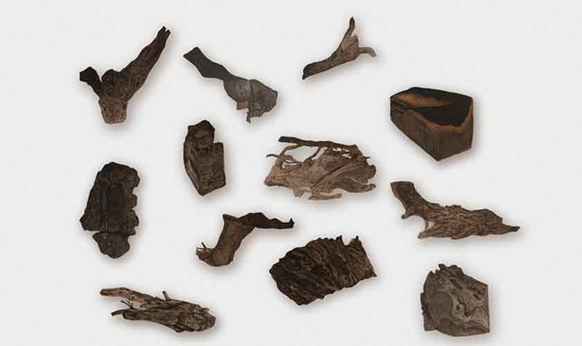 After-images of silence