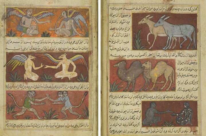 The lost wonders  of Lahore’s toshakhana