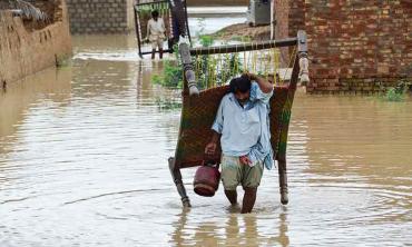 Government policies and climate adaptation