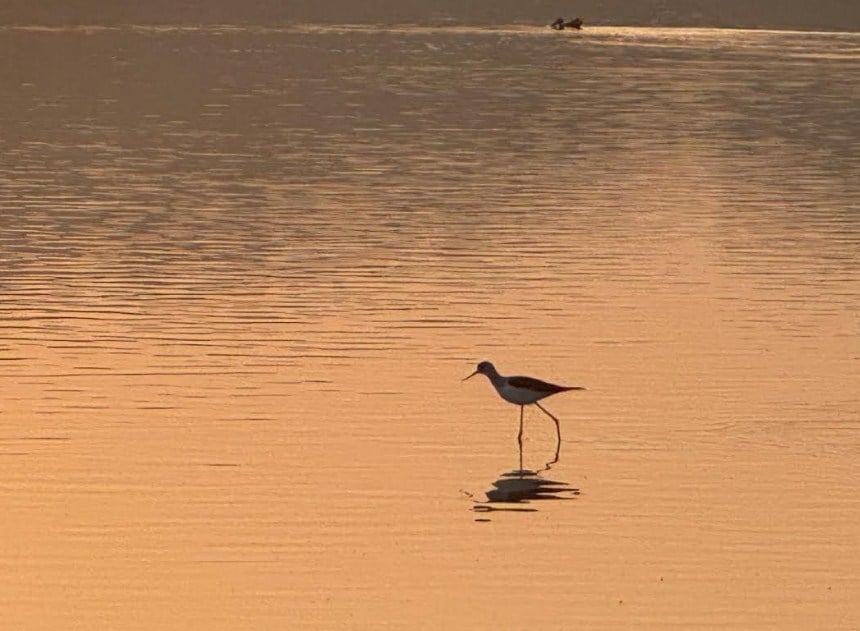 - Photo by the author