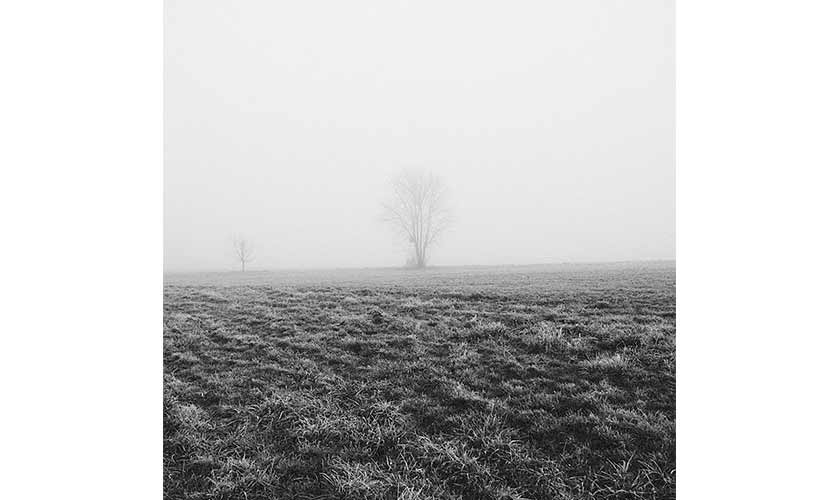 Ghosts that hunger leaves behind