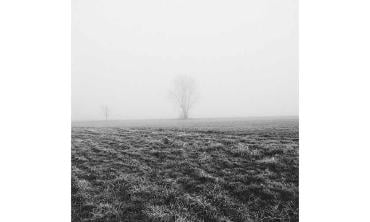 Ghosts that hunger leaves behind