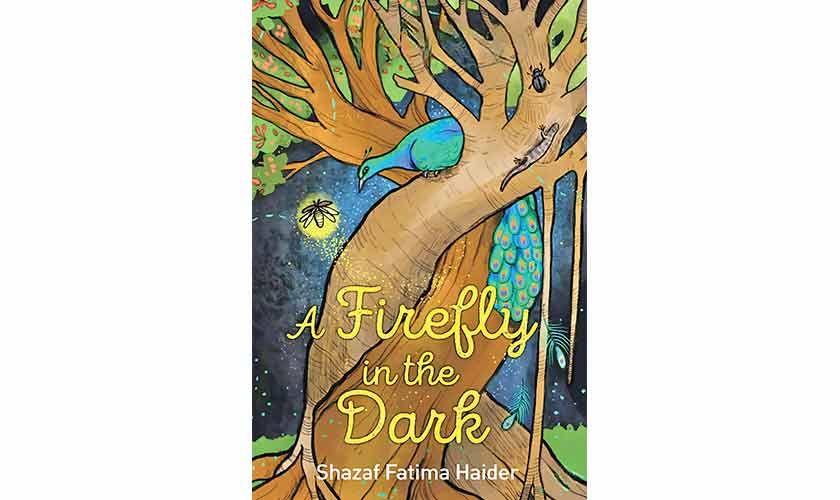 The Pakistan fiction edition