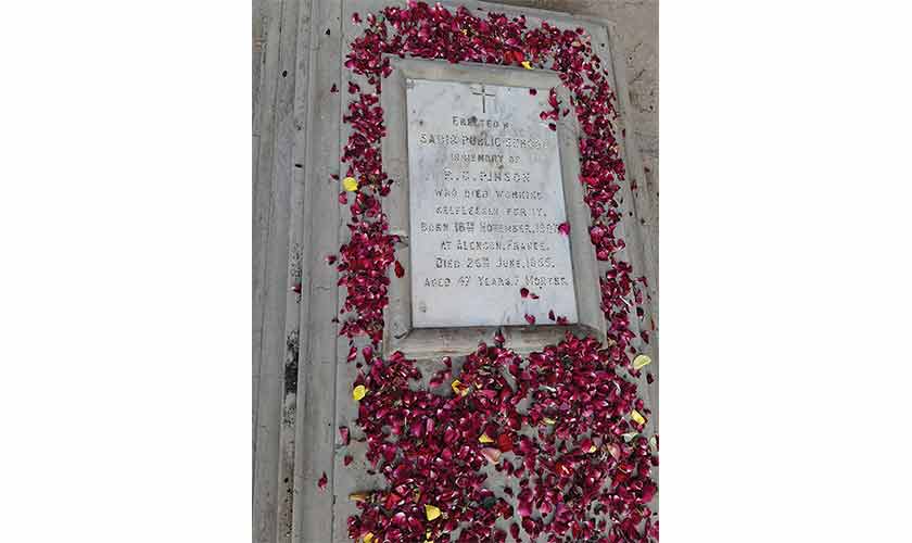 Rose petals spread around.