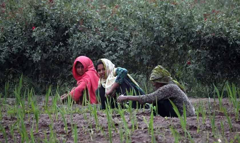 Agriculture’s missing narrative