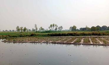 From pollution to restoration