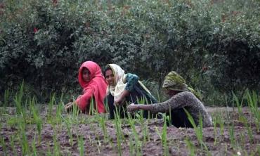 Agriculture’s missing narrative