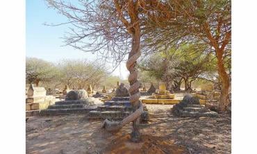 Beauty in the wilderness