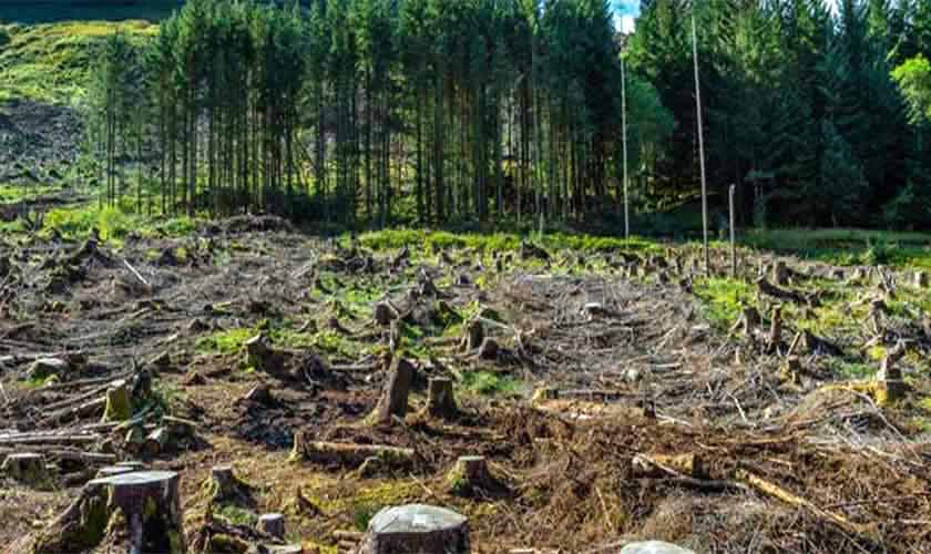 Biodiversity in peril