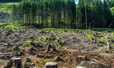 Biodiversity in peril