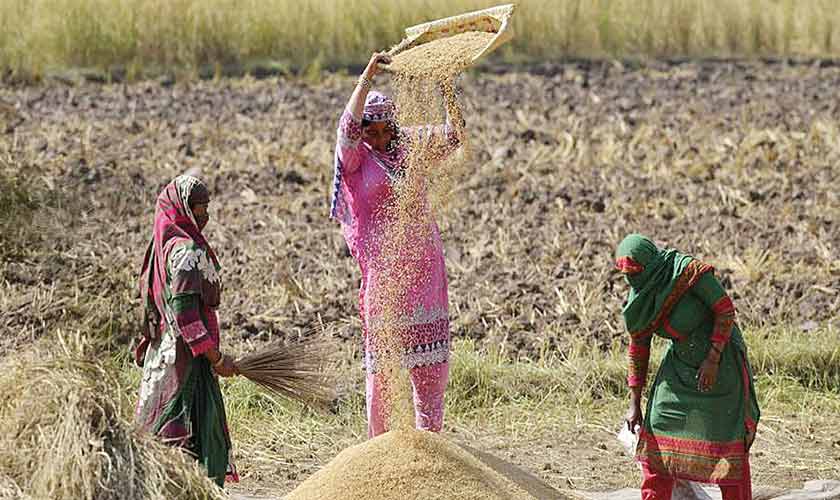 Protecting  women’s rights