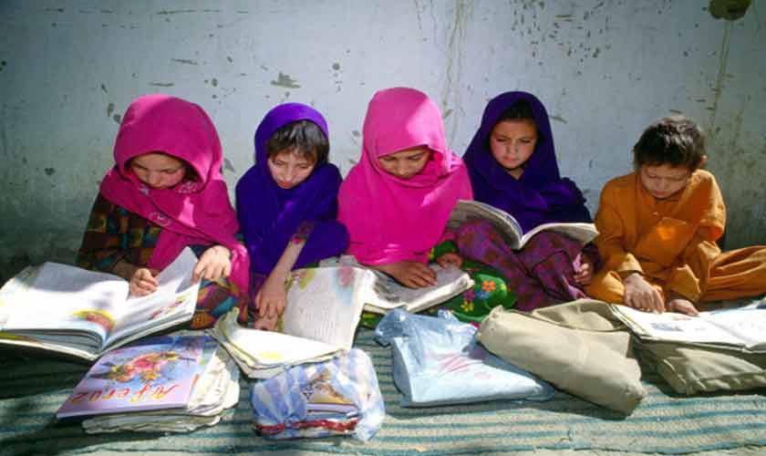 The slow repair of education system