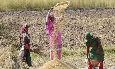 Protecting  women’s rights