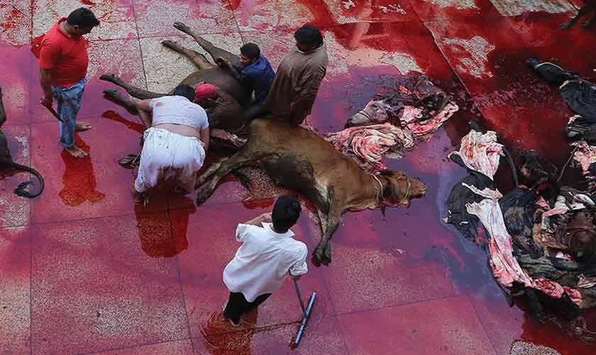 The ultimate success of the Eid-ul Azha operation hinges on civic cooperation.