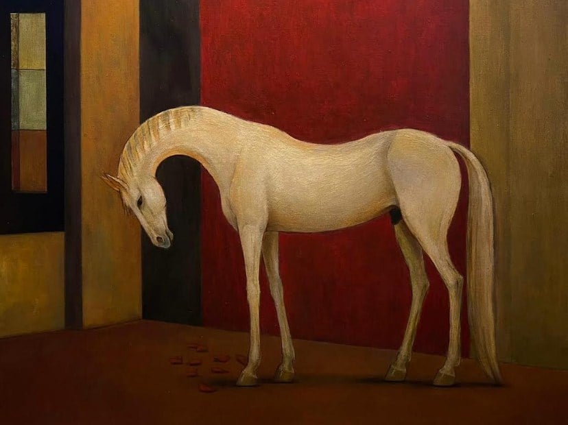 Silent Witness by Imran Ali Kazmi