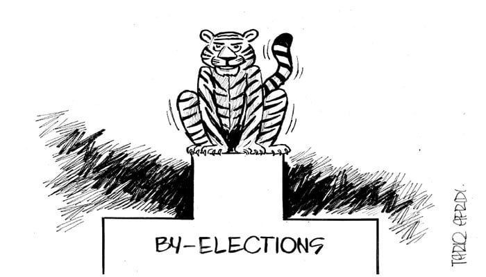 Cartoon: November 25, 2025