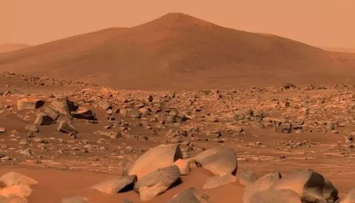 A picture of the Red Planet captured earlier. Photo: NASA/AFP