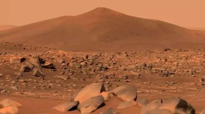 Electrical discharges detected on Mars: Nasa