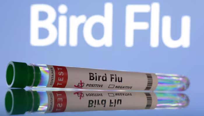 Test tubes are seen labelled Bird Flu words in this illustration taken.— Reuters