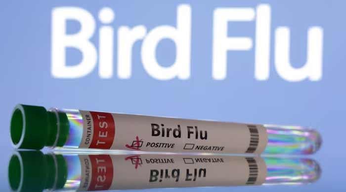 ‘Worse than Covid’: France lab warns bird flu poses severe pandemic threats 