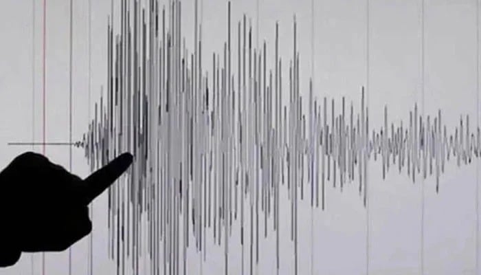 Picture showing a Richter Scale reading of a earthquake. — Reuters/ File