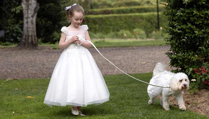 Ella, a flower girl, can be seen walking the dog and ring bearer named Toto, during the wedding ceremony for Australias Prime Minister Anthony Albanese and his new wife Jodie Haydon in Canberra on November 29, 2025.— AFP
