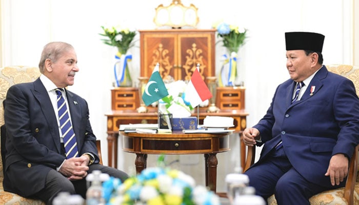 Prime Minister Shehbaz Sharif meets Indonesian President HE Prabowo Subianto on the sidelines of the D-8 Summit on December 19, 2024. — X@CMShehbaz