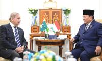 Indonesian president to undertake two-day official visit to Pakistan on Dec 8-9