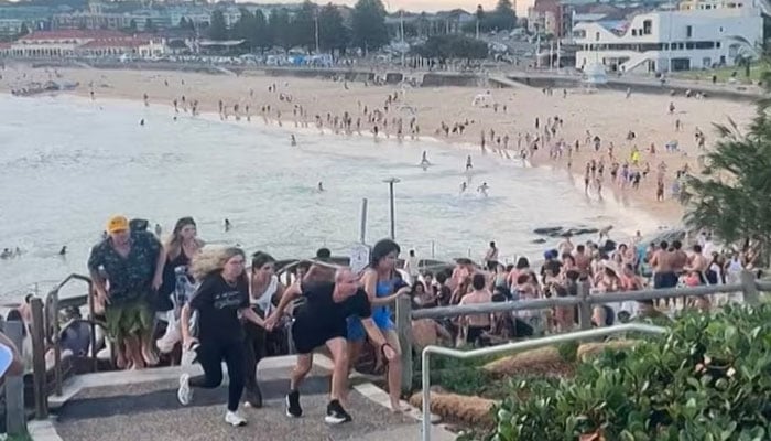 A screengrab taken from a video of people running after the Bondi beach shooting. — AFP