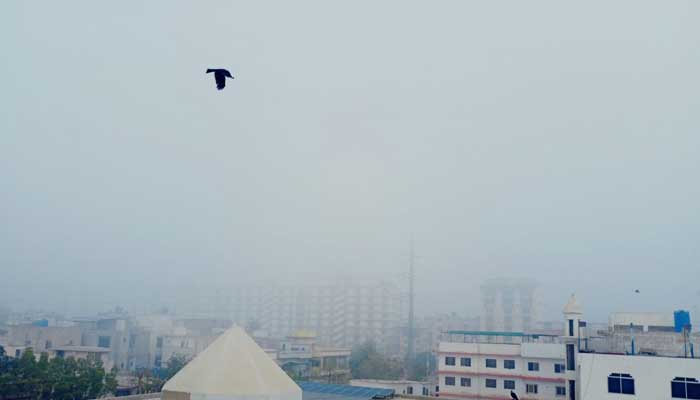 A view of dense fog in Karachi on December 21, 2025. — Geo.tv