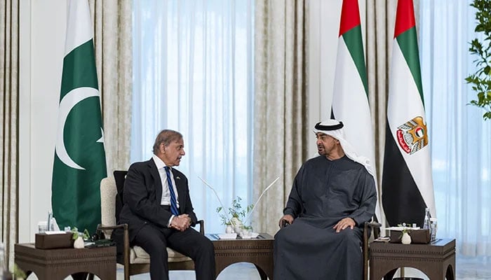 Prime Minister Shehbaz Sharif calls on UAE President Sheikh Mohamed bin Zayed Al Nahyan at Qasr Al Shati in Abu Dhabi, June 12, 2025. — WAM