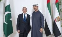 UAE president arrives in Pakistan today on first official visit