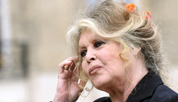 French actress and animal rights activist Brigitte Bardot leaves the Elysee Palace in Paris after a meeting with French president Nicolas Sarkozy, on September 27, 2007. — AFP/File