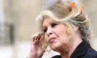 Brigitte Bardot, Icon Of French Cinema, Dies At 91