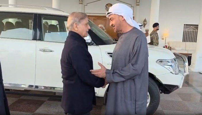 Prime Minister Shehbaz Sharif (left) meets United Arab Emirates President Sheikh Mohamed bin Zayed Al Nahyan in Rahim Yar Khan on December 30, 2025. — Radio Pakistan/screengrab